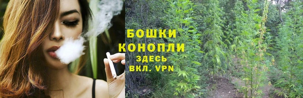 прущие крисы Волосово